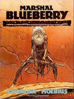 USA_MarshalBlueberry.jpg (59471 octets)